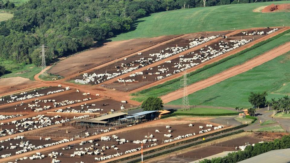 Vista aérea do confinamento da CMA em Barretos