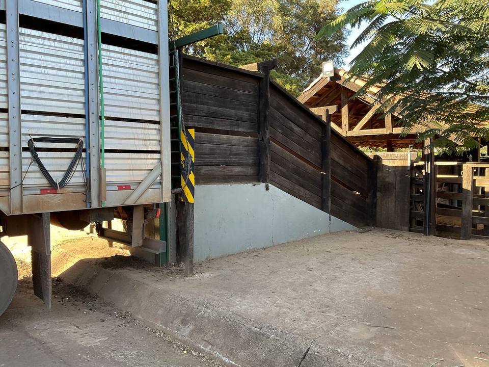 Chegada e identidade