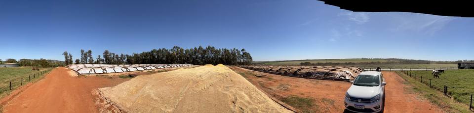Silos-trincheira de milho úmido