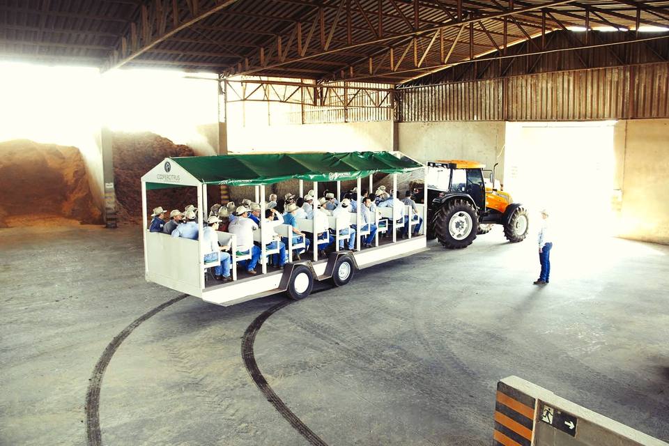 Visitantes em tour guiado pela fazenda